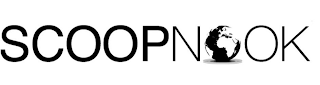 SCOOPNOOK logo
