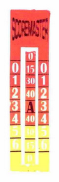 SCOREMASTER 0 1 2 3 4 5 6 0 15 30 40 A 40 10 15 0 0 1 2 3 4 5 6 logo