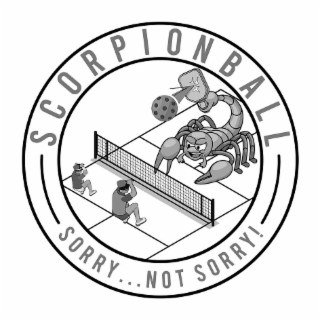 SCORPION BALL SORRY ... NOT SORRY! logo
