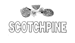 SCOTCHPINE logo
