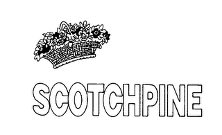 SCOTCHPINE logo