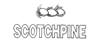 SCOTCHPINE logo