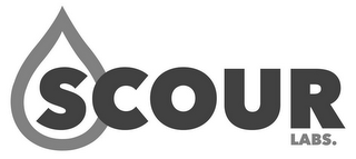 SCOUR LABS. logo
