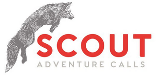 SCOUT ADVENTURE CALLS logo