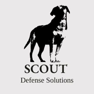 SCOUT DEFENSE SOLUTIONS logo