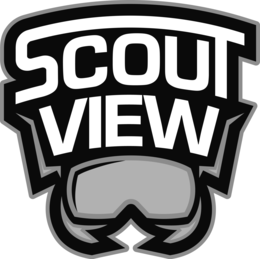 SCOUT VIEW logo