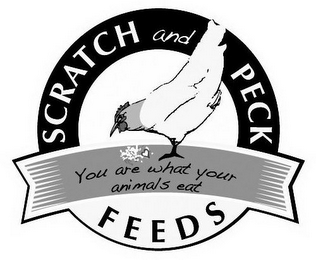 SCRATCH AND PECK FEEDS YOU ARE WHAT YOUR ANIMALS EAT logo
