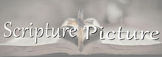 SCRIPTURE PICTURE logo