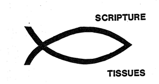 SCRIPTURE TISSUES logo