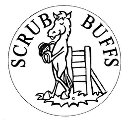 SCRUB BUFFS logo