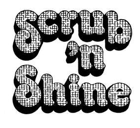 SCRUB 'N SHINE logo