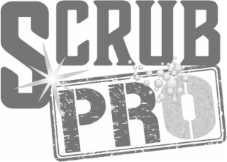 SCRUB PRO