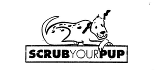 SCRUB YOUR PUP logo