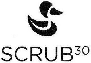 SCRUB30 logo