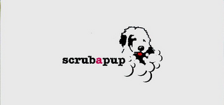 SCRUBAPUP logo