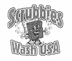 SCRUBBIES WASH USA logo