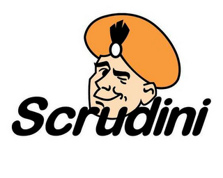 SCRUDINI logo
