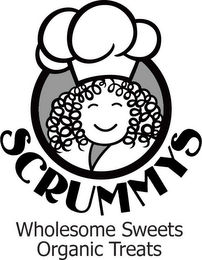 SCRUMMYS WHOLESOME SWEETS ORGANIC TREATS logo