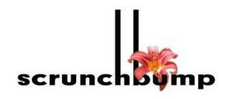 SCRUNCHBUMP logo