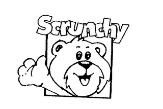 SCRUNCHY logo