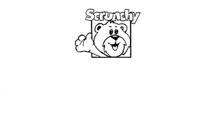 SCRUNCHY logo