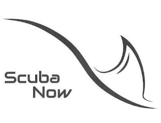 SCUBA NOW logo