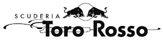 SCUDERIA TORO ROSSO logo