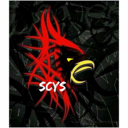 SCYS logo