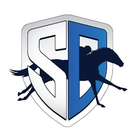 SD logo