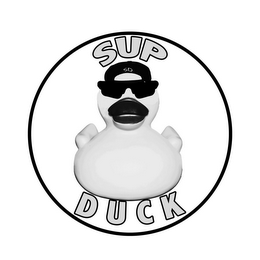 SD SUP DUCK logo