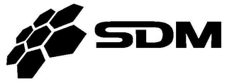 SDM logo