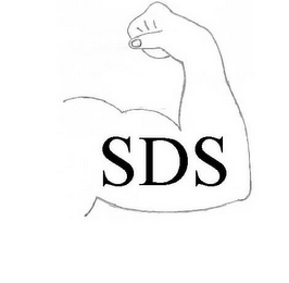 SDS logo