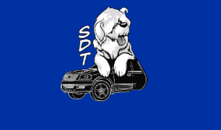 SDT logo