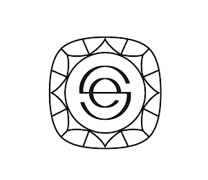 SE logo