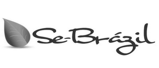 SE-BRAZIL logo