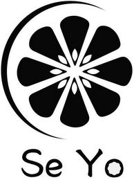 SE YO logo
