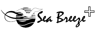 SEA BREEZE + logo