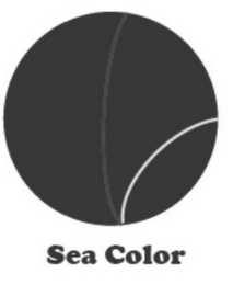 SEA COLOR logo