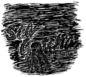 SEA GOTCHA logo