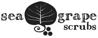 SEA GRAPE SCRUBS logo