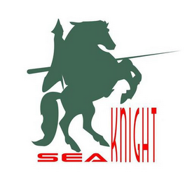 SEA KNIGHT logo