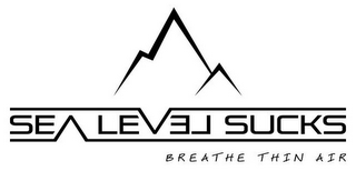 SEA LEVEL SUCKS BREATHE THIN AIR logo