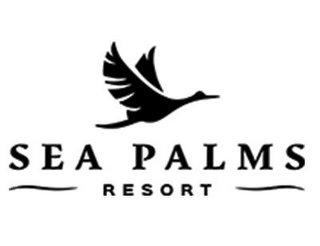 SEA PALMS RESORT logo