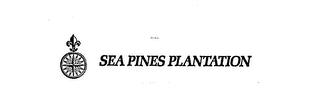 SEA PINES PLANTATION logo
