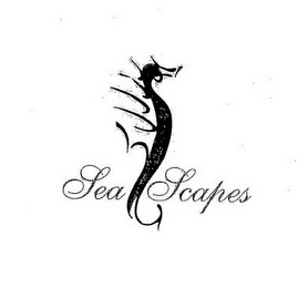 SEA SCAPES logo