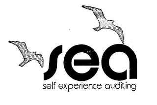 SEA SELF EXPERIENCE AUDITING logo