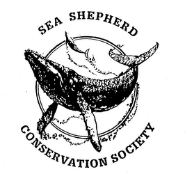 SEA SHEPHERD CONSERVATION SOCIETY logo