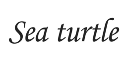 SEA TURTLE logo