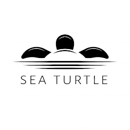 SEA TURTLE logo