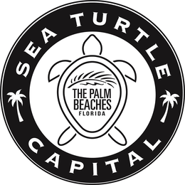 SEA TURTLE CAPITAL THE PALM BEACHES FLORIDA logo